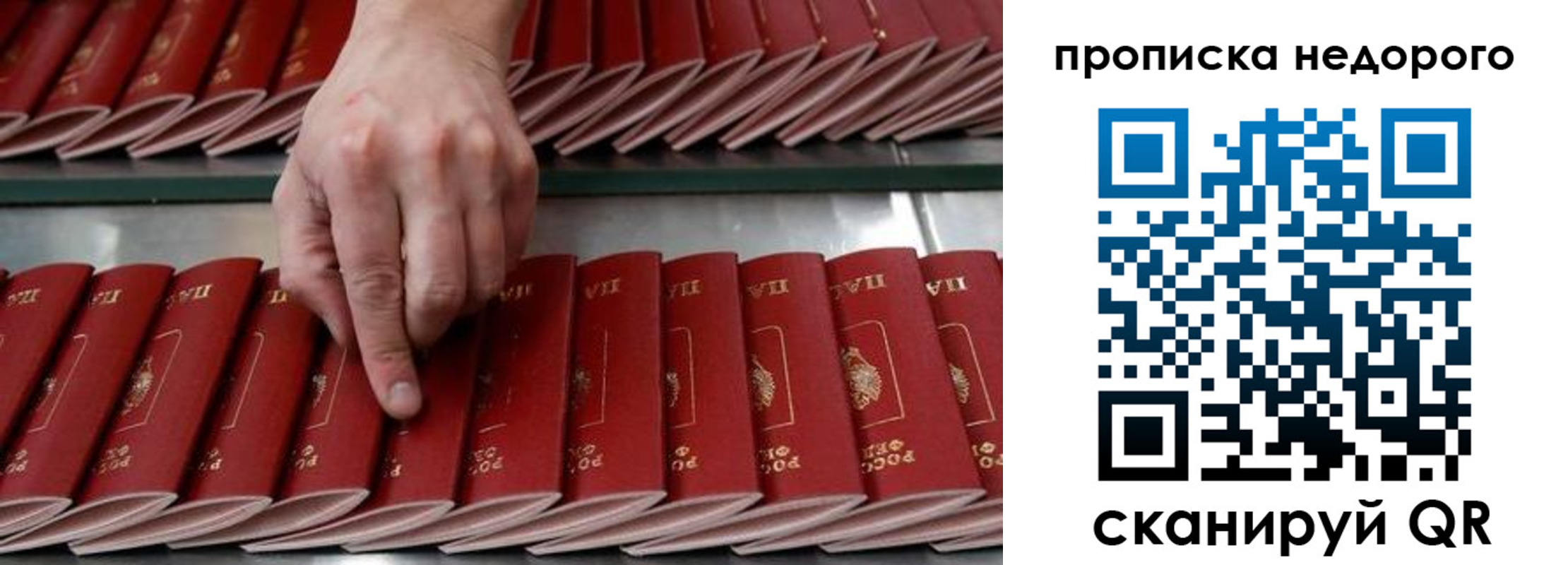 прописка регистрация в Новодвинске